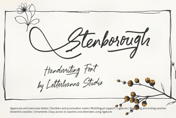 Stenborough: A Designer’s Go-To Script Font for Elegant Branding