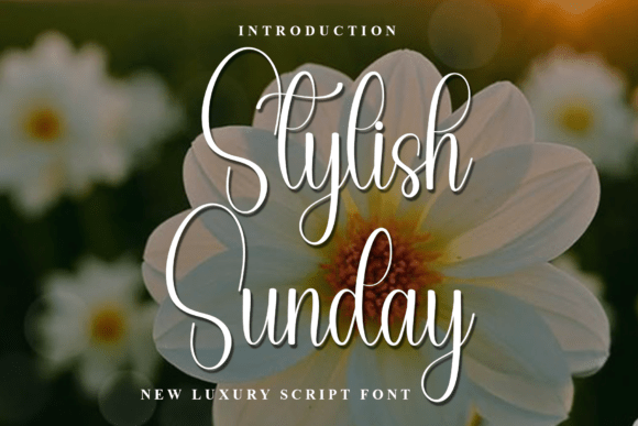 Stylish Sunday: A Warm & Playful Font for Creative Branding